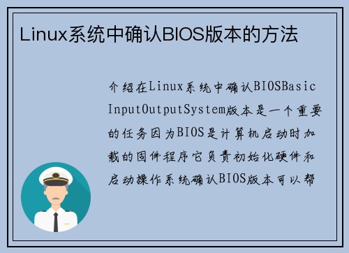Linux系统中确认BIOS版本的方法