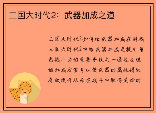 三国大时代2：武器加成之道